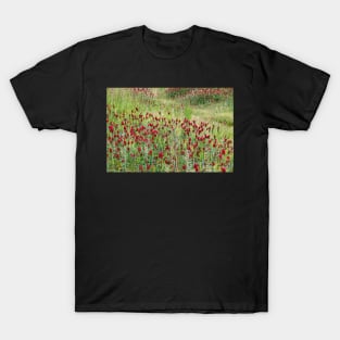 In Red Clover T-Shirt